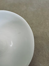 DS 210-NOODLES-Three Seven Paris- Ceramic Plates, Platters, Bowls, Coffee Cups. Animal Designs, Zebra, Flamingo, Elephant. Graphic Designs and more.