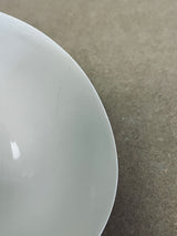 DS 210-NOODLES-Three Seven Paris- Ceramic Plates, Platters, Bowls, Coffee Cups. Animal Designs, Zebra, Flamingo, Elephant. Graphic Designs and more.