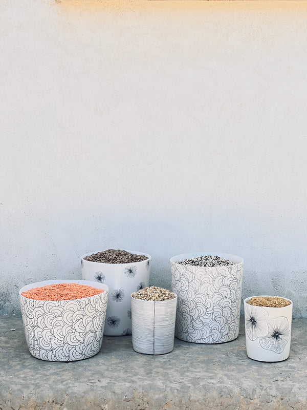 Cache-pot Large Coral Seashell-Three Seven Paris- Ceramic Plates, Platters, Bowls, Coffee Cups. Animal Designs, Zebra, Flamingo, Elephant. Graphic Designs and more.